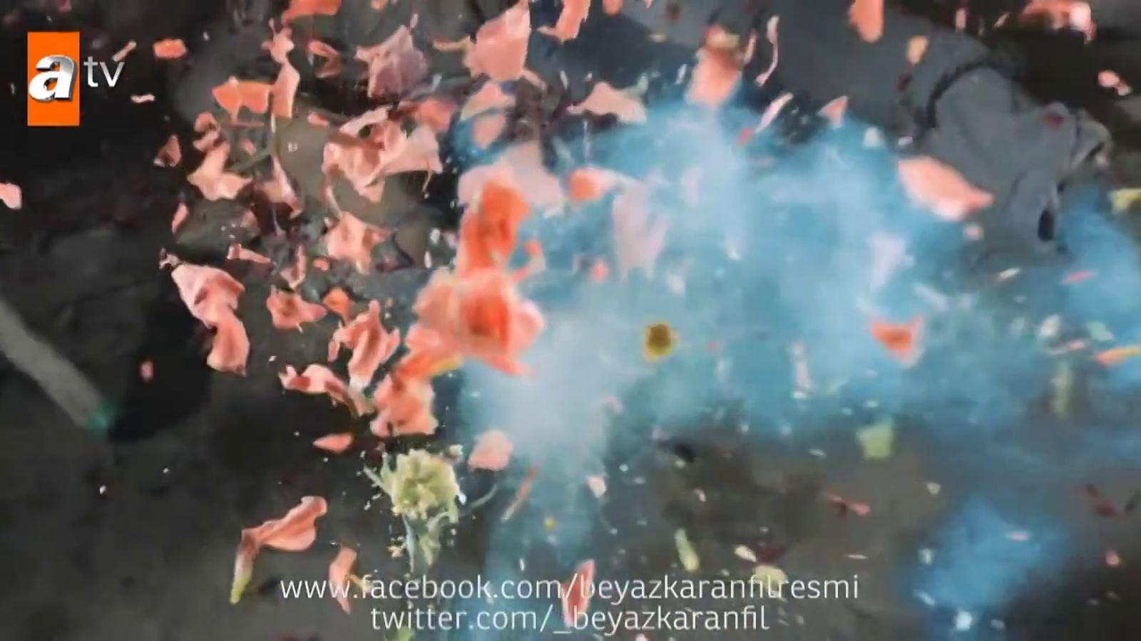Beyaz Karanfil