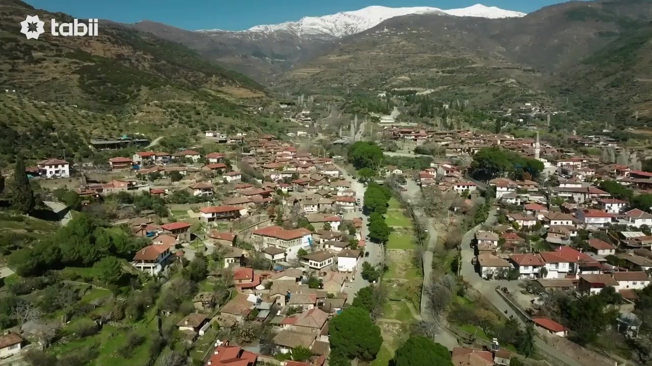 Yeşil Deniz: Milenyum